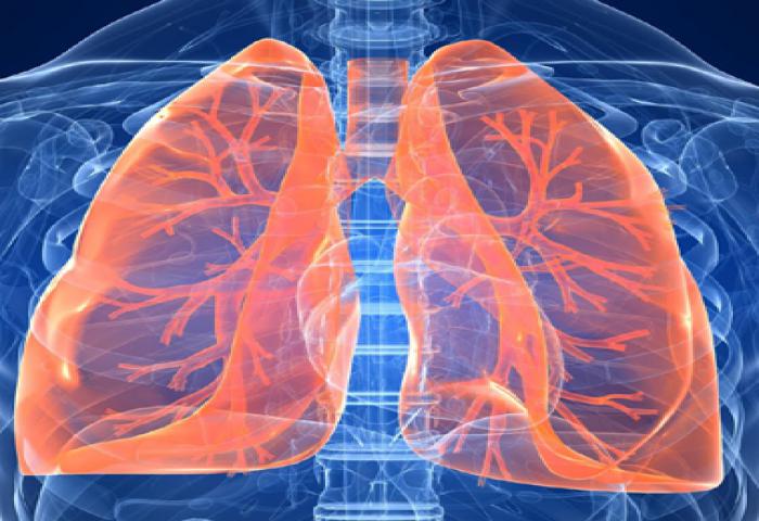 Menko PMK: Indonesia Siap Mengeliminasi Tuberkulosis (TB)